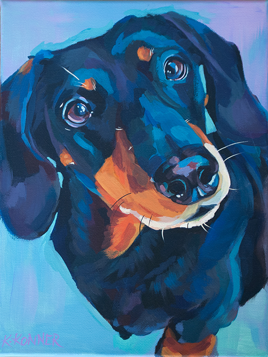 Dachsund Portrait