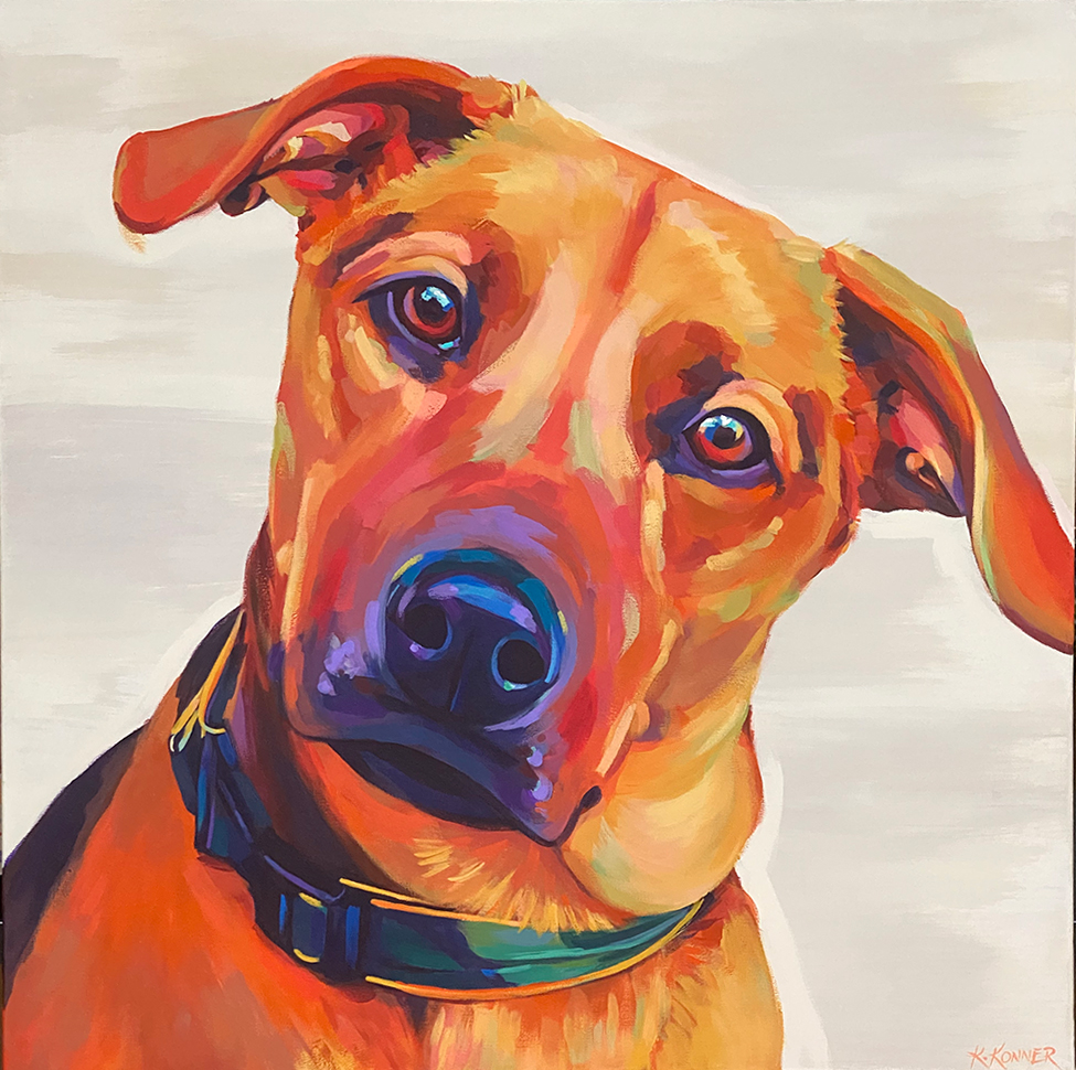 Hound Mix Portrait